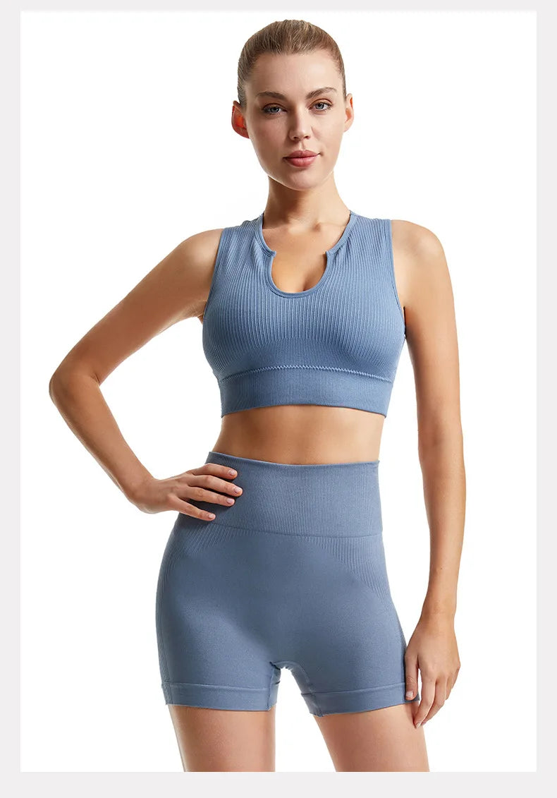 2PCS Elastic Seamless Sports Yoga Set