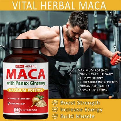 Maca and Ginseng Sports Supplement Capsules