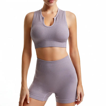 2PCS Elastic Seamless Sports Yoga Set